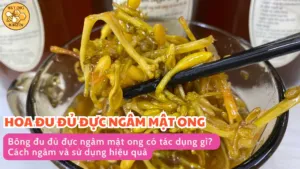 Bông đu đủ đực ngâm mật ong có tác dụng gì? Cách ngâm và sử dụng hiệu quả