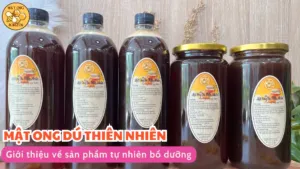 Mật ong dú: Giới thiệu về sản phẩm tự nhiên bổ dưỡng