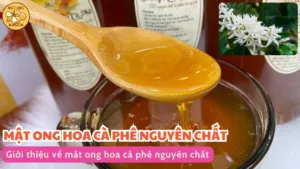 Mật ong hoa cà phê nguyên chất Di Linh, Lâm Đồng