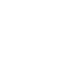 About Icon