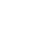 Light Bulb Icon
