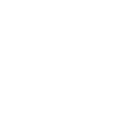 Store Icon