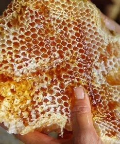 Sáp ong khoái thiên nhiên cắt miếng cả mật ong