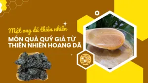 Mật ong dú thiên nhiên – món quà quý giá từ thiên nhiên hoang dã