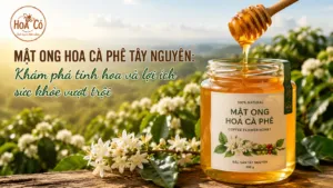 Mật ong hoa cà phê Tây Nguyên: Khám phá tinh hoa và lợi ích sức khỏe vượt trội